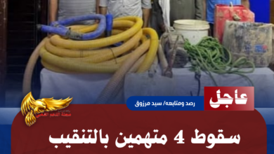 نسخة من نسخة من نسخة من نسخة من نسخة من نسخة من نسخة من نسخة من 1000 canvi. 20260728 160403 ٠٠٠٠